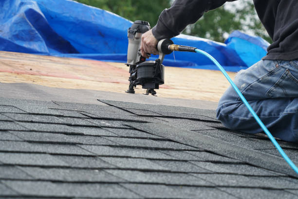Best Roof Gutter Cleaning  in Finderne, NJ